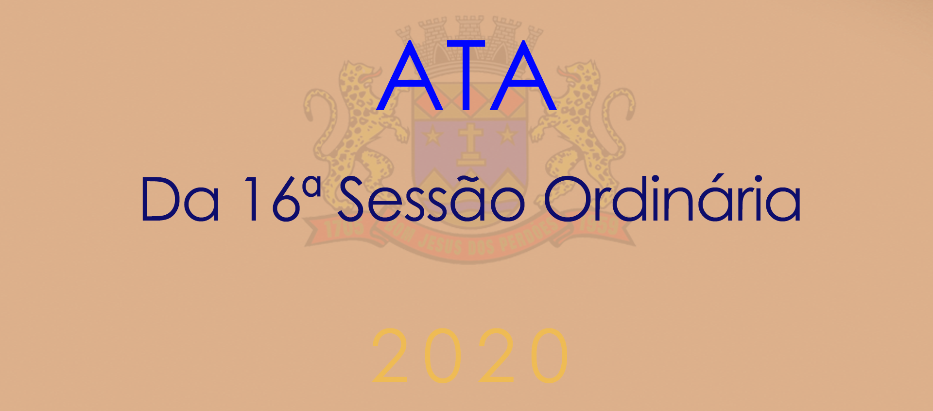 Ata da 16ª Sessão Ordinária - 2020