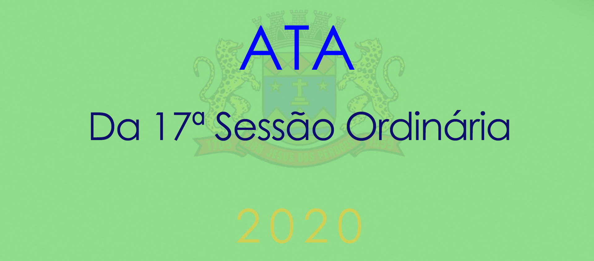 Ata da 17ª Sessão Ordinária - 2020